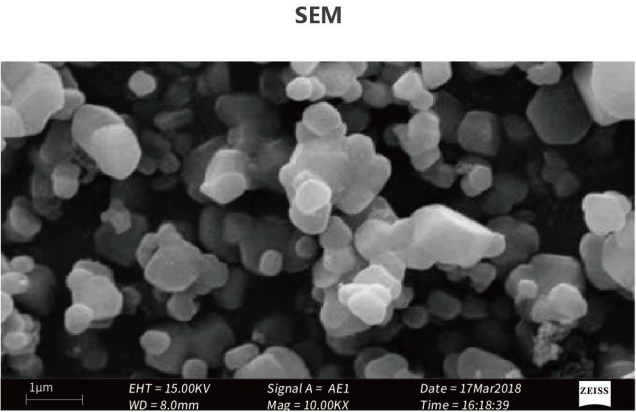 SEM.jpg